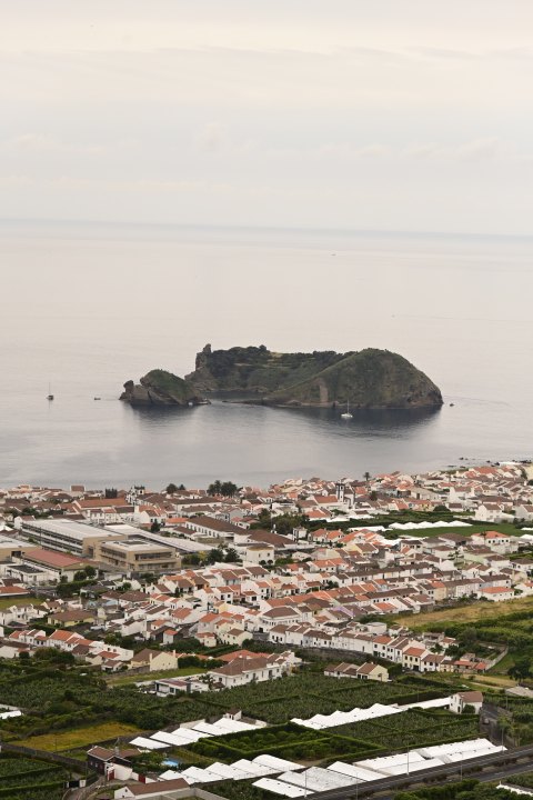 _AZO8691.JPG