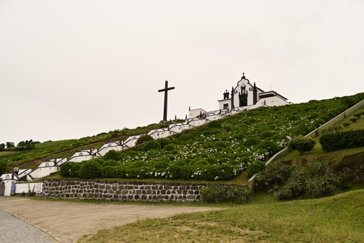 _AZO8695.JPG