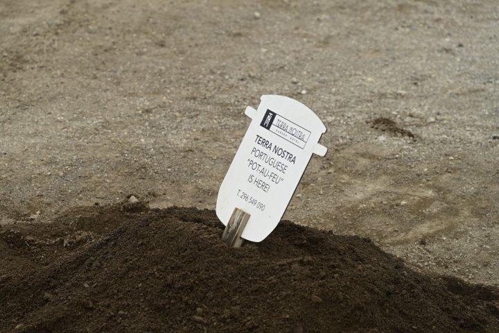 _AZO8848.JPG