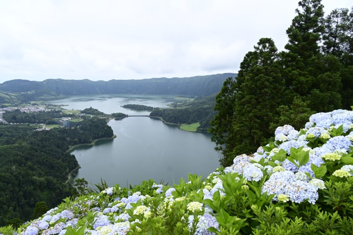 _AZO9422.JPG