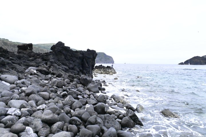 _AZO9504.JPG