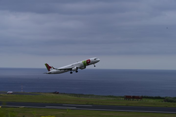 _AZO9596.JPG