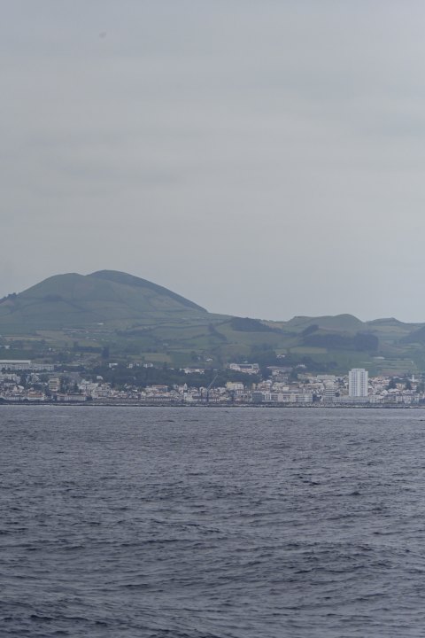 _AZO9743.JPG