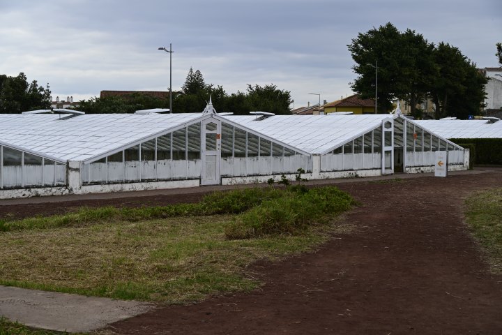 _AZO0899.JPG
