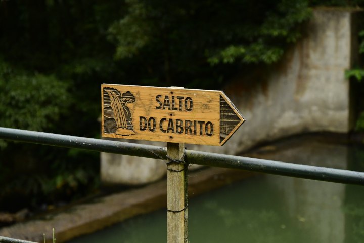 _AZO0960.JPG