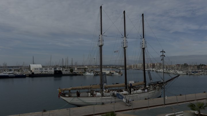 IMG_1115.jpeg